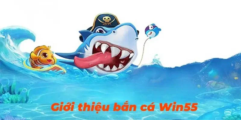 ban-ca-win55-so-luoc