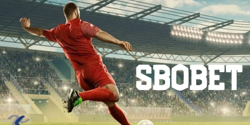 sbobet-win55-doi-net